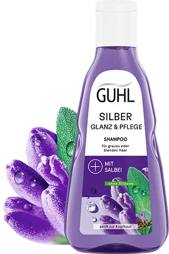 Shampoo Flasche Silber Glanz und Pflege