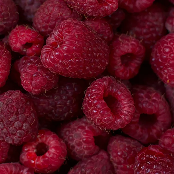 Himbeeren